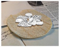 https://www.tortillaism.com/files/gimgs/th-2_Edge_of_Tortilla.jpg