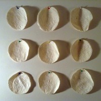 https://www.tortillaism.com/files/gimgs/th-2_grid_tortilla.jpg